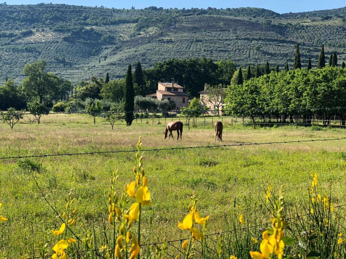 Arcadia Vila Spello Exterior foto